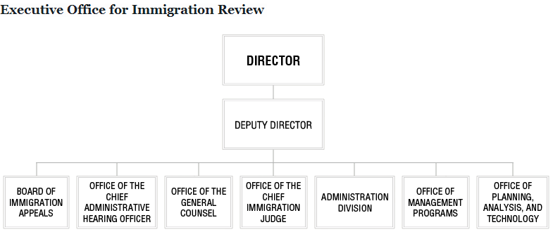 Organization Chart EOIR Department of Justice