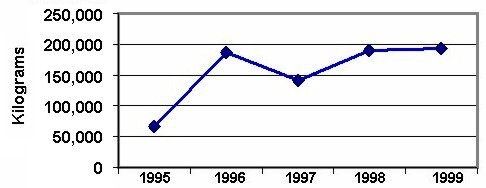Chart showing marijuana seizure amounts in kilograms in Northern California for years 1995 through 1999.