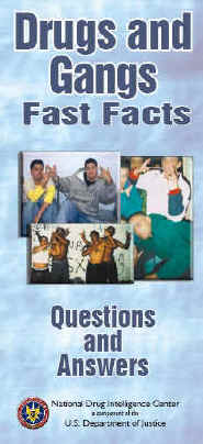 Cover image linked to printable Drugs and Gangs Fast Facts brochure.