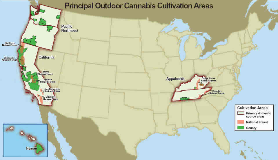 U.S. map showing the principal outdoor cannabis cultivation areas.