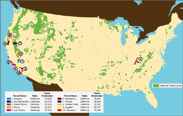 U.S. map showing the top 10 national forests for eradication of cannabis on Forest Service lands in 2004.