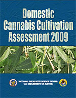 Cover image for Domestic Cannabis Cultivation Assessment 2009.