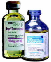 Photograph of a small bottle of Depo-Testesteron beside a bottle of Equipoise.