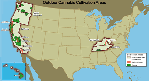 U.S. map showing Outdoor Cannabis Cultivation Areas.