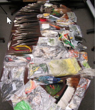 Wildlife items seized from Olguin