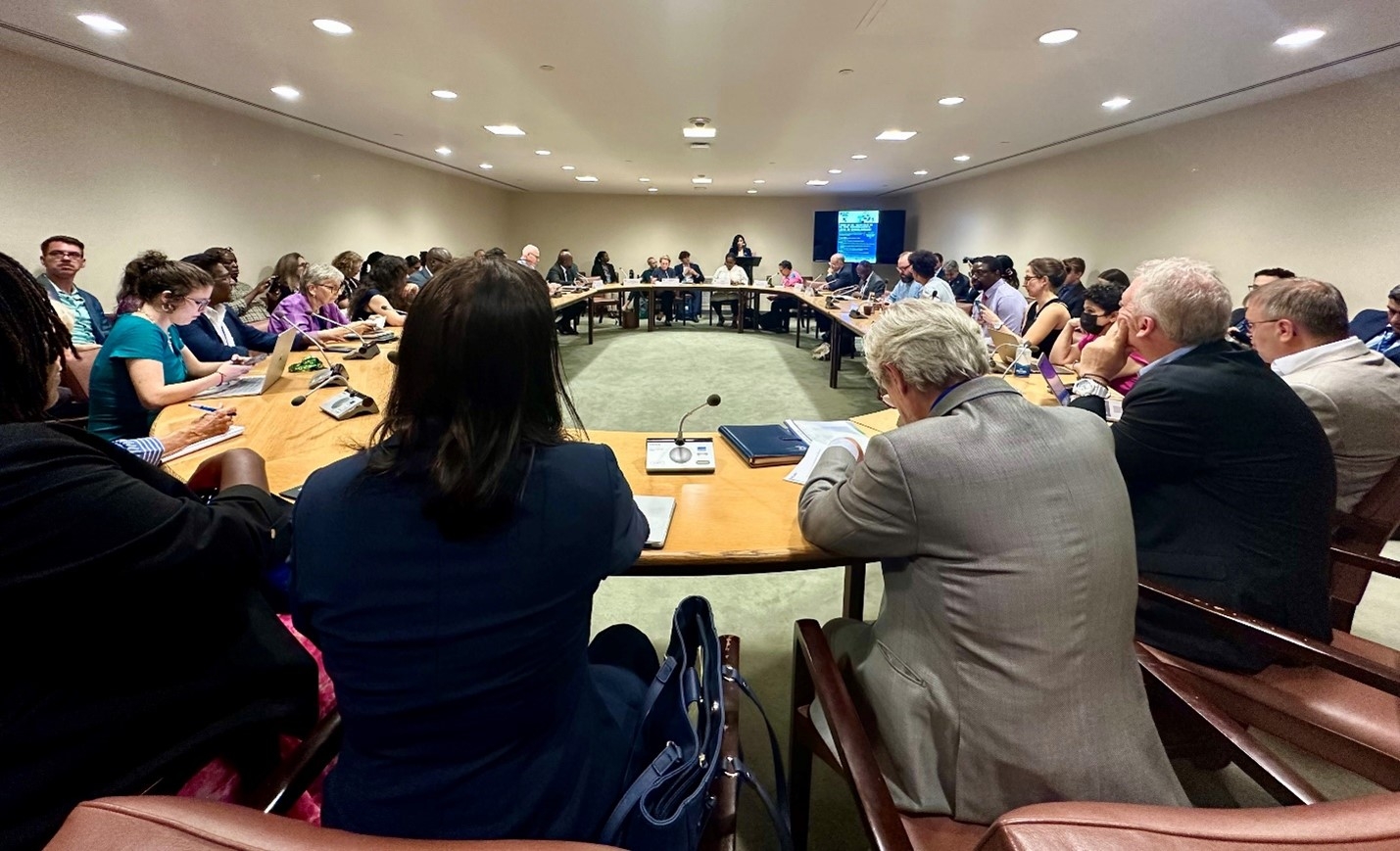 Director Rossi giving welcoming remarks for the official United States side event Turning the Tide: Scaling SDG for the Future, Reinforcing Access to Justice, and Advancing Democracy.