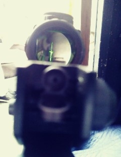 AR style gun sight