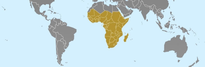 DOJ/OVT Interactive World Map - Africa