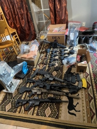 A photograph of the seized guns