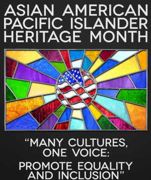 Asian Pacific Islander 2020 Asian Pacific Islander 2020