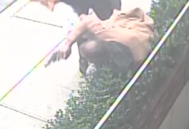 Picture of the defendant behind apprehended by a Good Samaritan Picture of the defendant behind apprehended by a Good Samaritan
