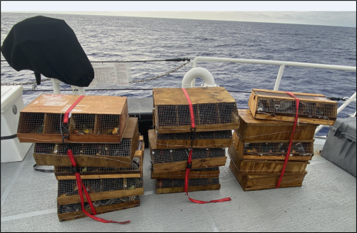 A few bird crates