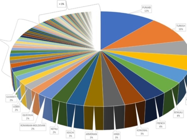 Pie Chart illustrating percentages of different languages (initial case completions).