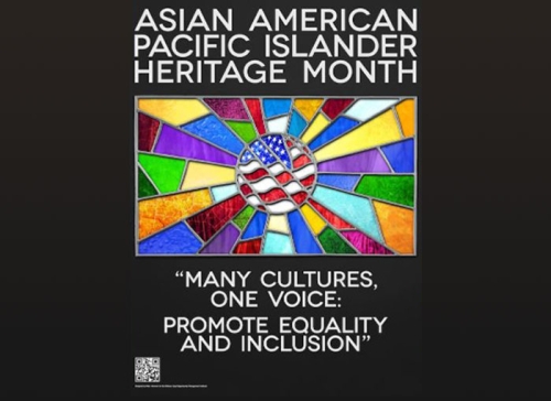A graphic that reads, "Asian American Pacific Islander Month"