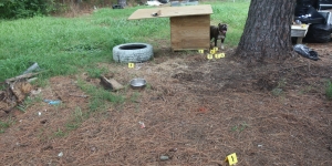 Photo of crime scene markers with dog and dog house in background