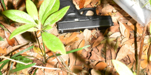 Photo of gun in leaves