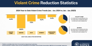 2024 violent crime reduction statistics