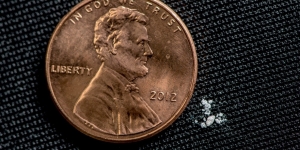 Two grains of salt set next to a Lincoln penny as an example of the estimated lethal dose of pharmaceutical grade fentanyl in humans.