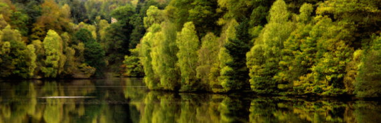 Trees and their reflection on the water lined a lake. Courtesy of NPS.