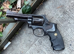 Picture of the revolver brandished by the defendant